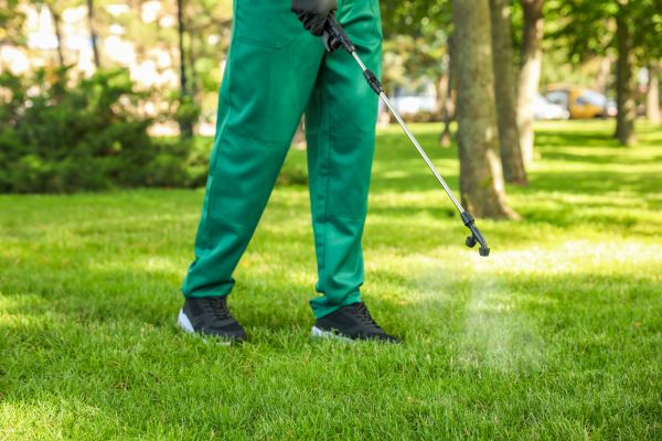 Baltimore Lawn Treatment