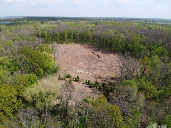 Baltimore Land Clearing