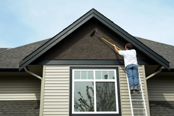 Baltimore Exterior Painting